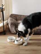 LE TAUCI Ceramic Dog and Cat Bowls Set with Acacia Wood Tray 2 Cup Weighted Non-Slip - Bellhaven & Co.
