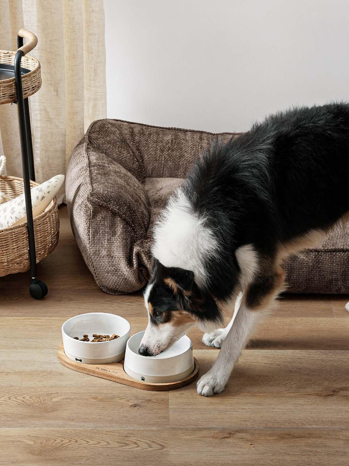 LE TAUCI Ceramic Dog and Cat Bowls Set with Acacia Wood Tray 2 Cup Weighted Non-Slip - Bellhaven & Co.