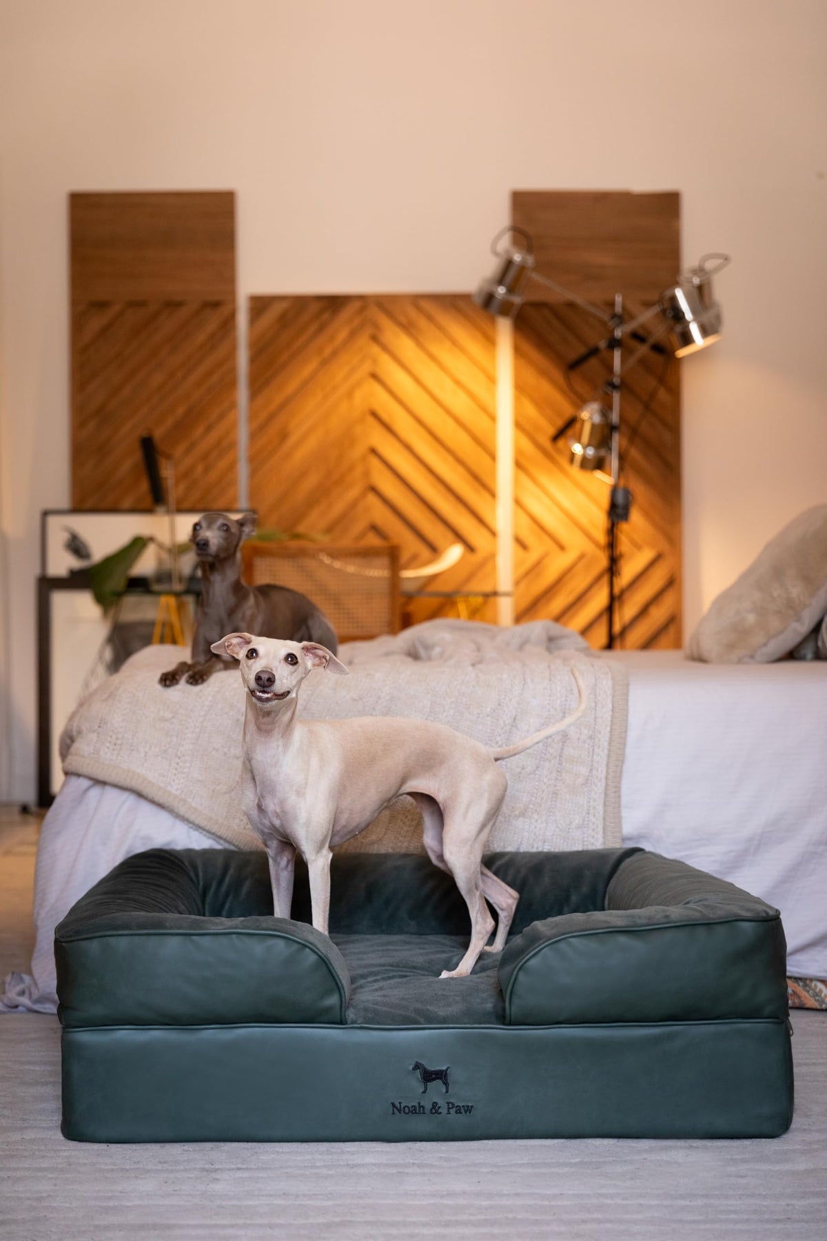 NOAH & PAW Orthopedic Dog Beds Memory Foam Infused with Cooling Gel S-XXL - Bellhaven & Co.