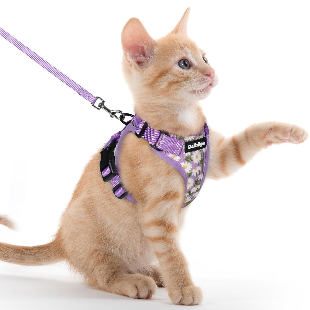 Rabbitgoo Cat Harness and Leash Set Escape Proof Vest Soft Breathable Mesh - Bellhaven & Co.