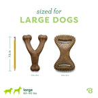 Benebone Medium 4-Pack Dog Toys for Aggressive Chewers - Bellhaven & Co.