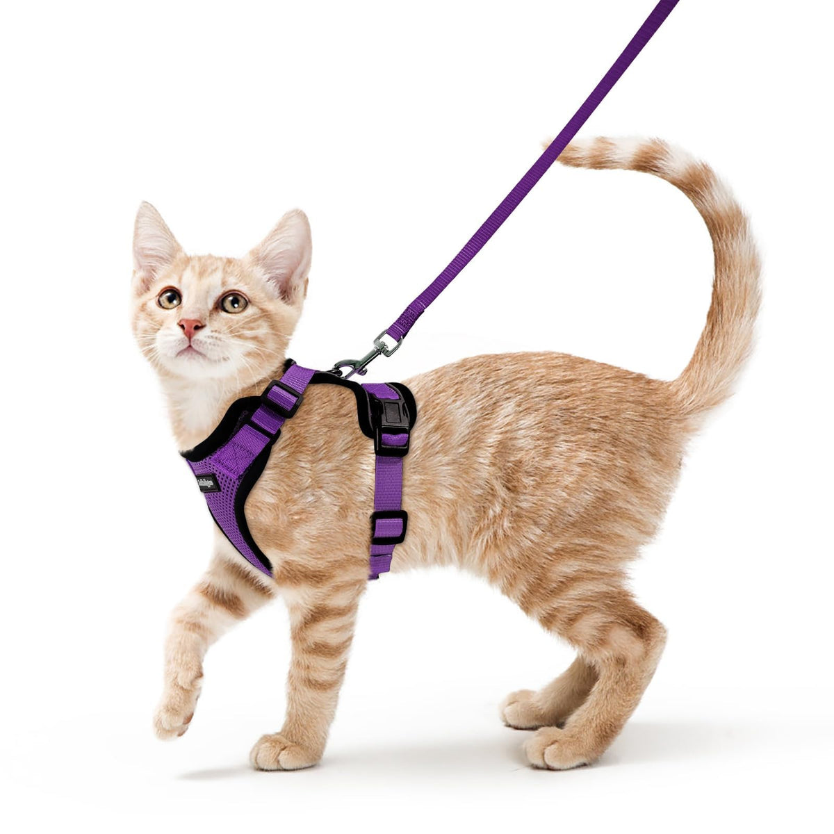 Rabbitgoo Cat Harness and Leash Set Escape Proof Vest Soft Breathable Mesh - Bellhaven & Co.