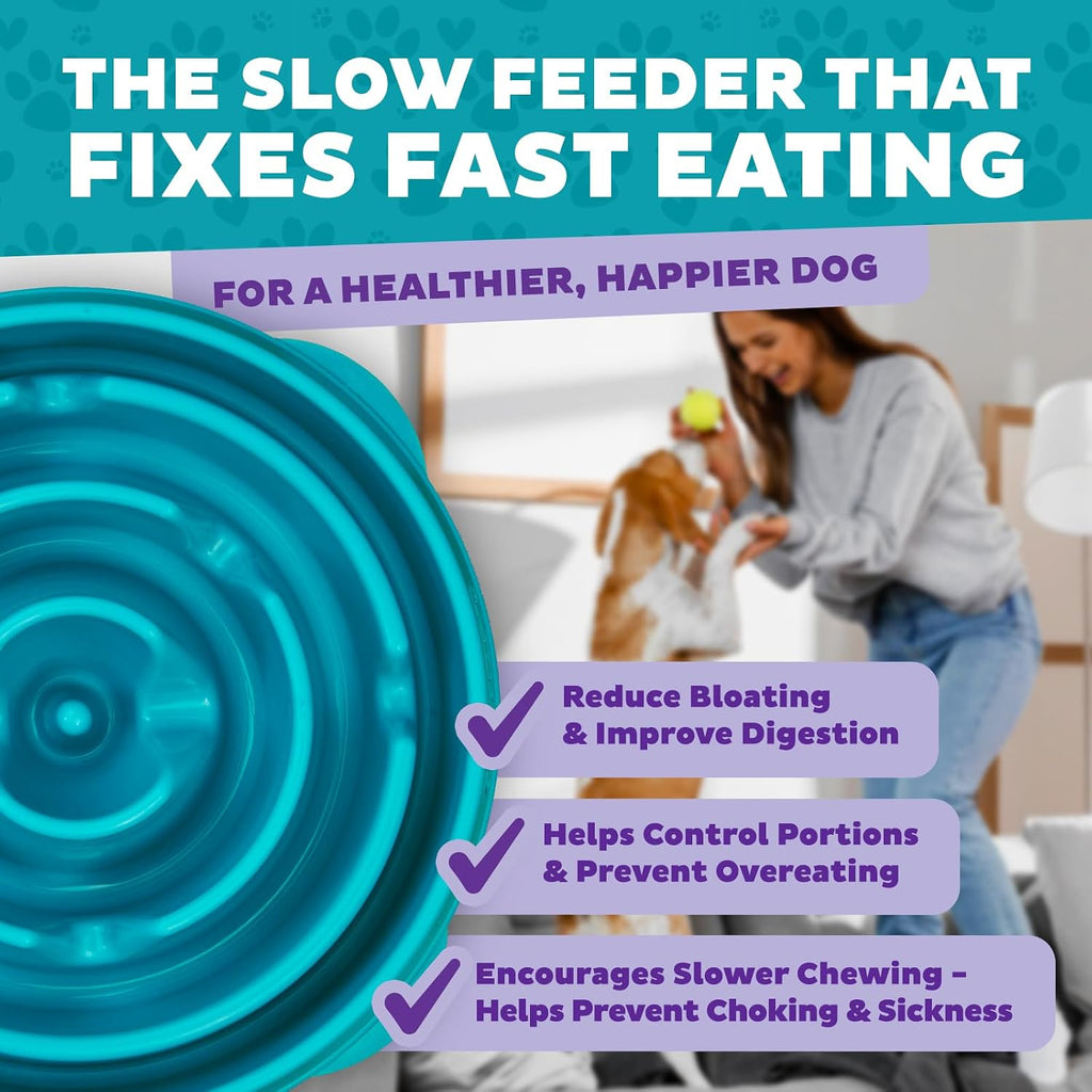 Outward Hound Fun Feeder Slow Feeding Bowl Non Slip for Dogs and Cats - Bellhaven & Co.