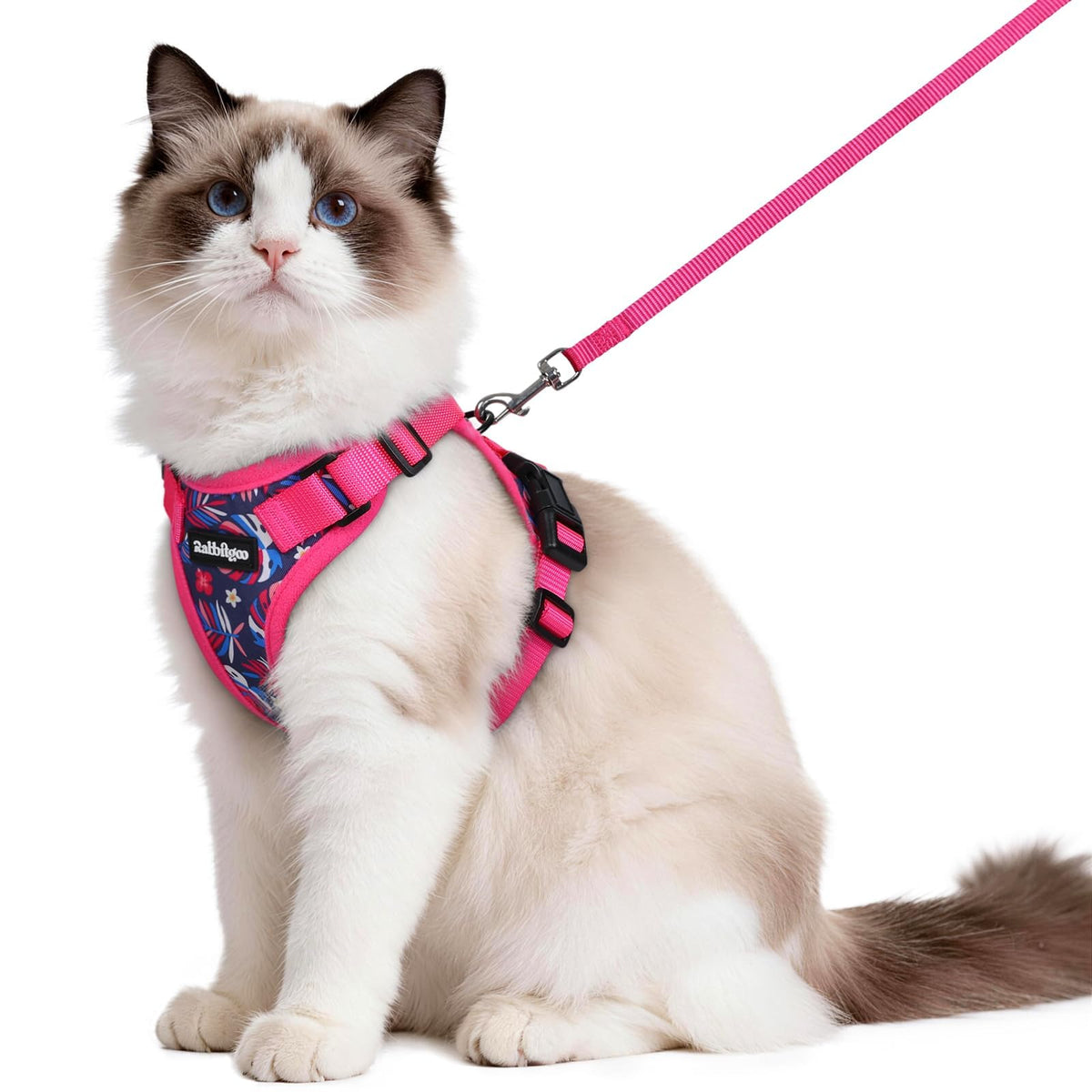 Rabbitgoo Cat Harness and Leash Set Escape Proof Vest Soft Breathable Mesh - Bellhaven & Co.