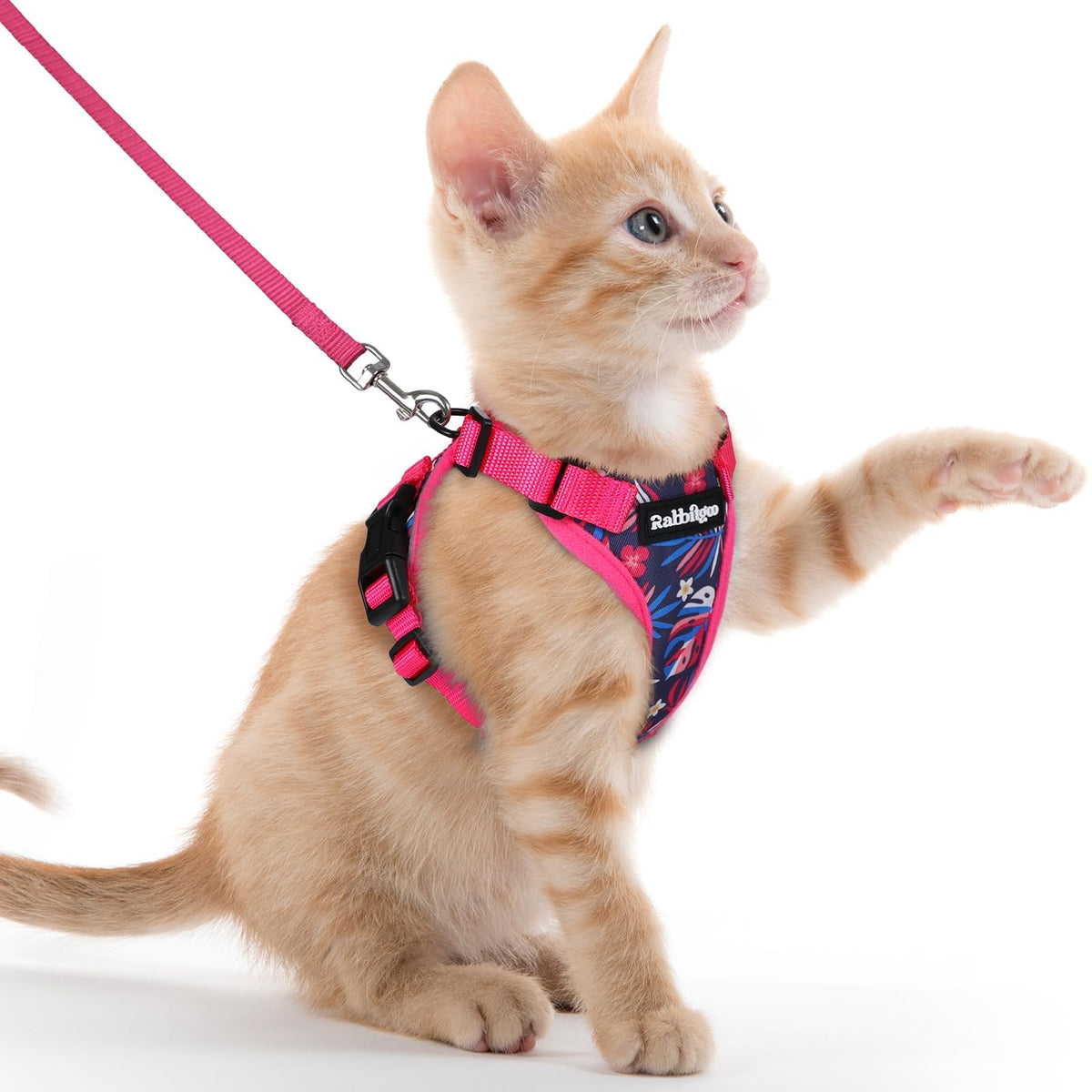 Rabbitgoo Cat Harness and Leash Set Escape Proof Vest Soft Breathable Mesh - Bellhaven & Co.