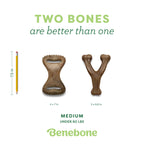 Benebone Medium 4-Pack Dog Toys for Aggressive Chewers - Bellhaven & Co.