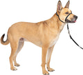 PetSafe Gentle Leader No Pull Dog Headcollar - Bellhaven & Co.