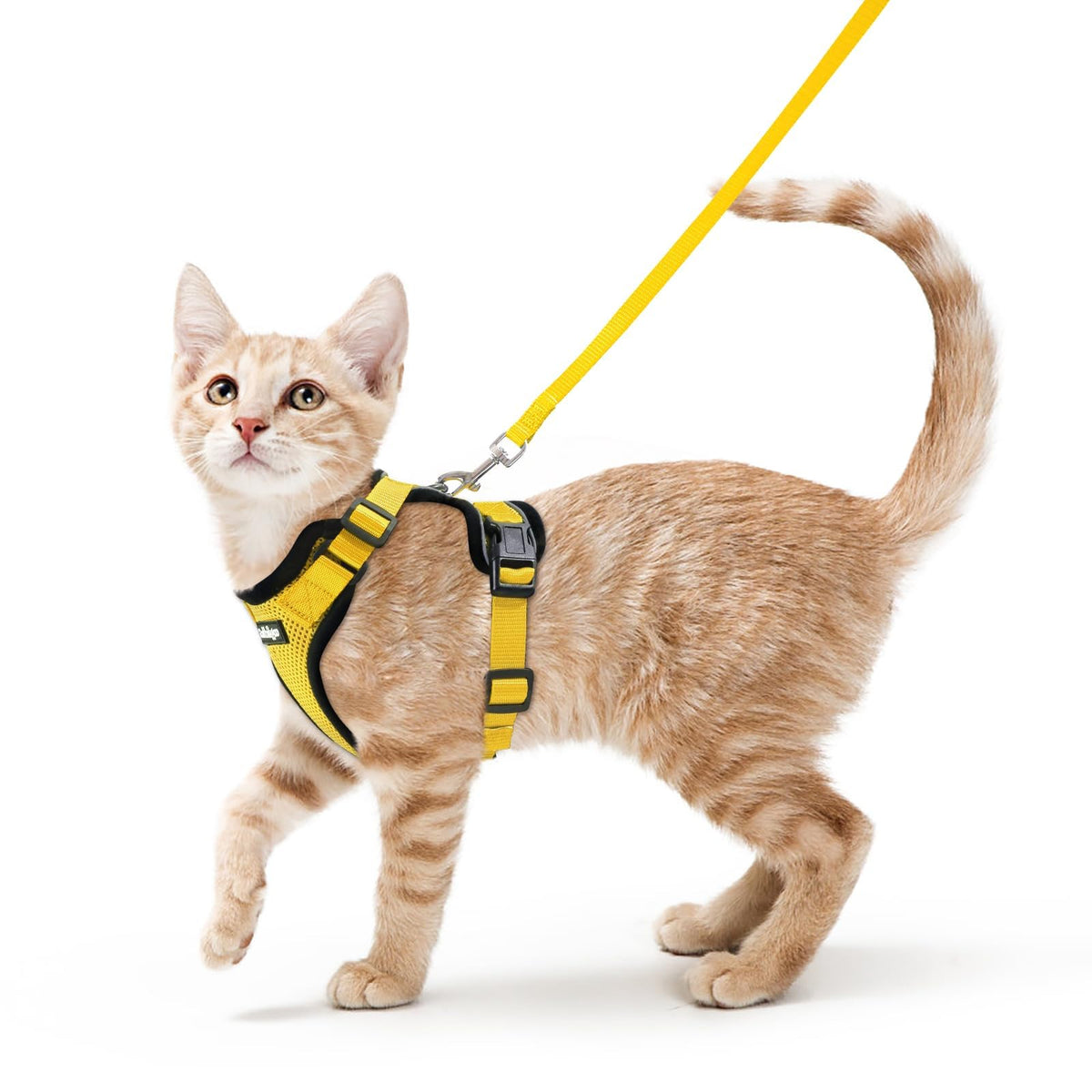 Rabbitgoo Cat Harness and Leash Set Escape Proof Vest Soft Breathable Mesh - Bellhaven & Co.