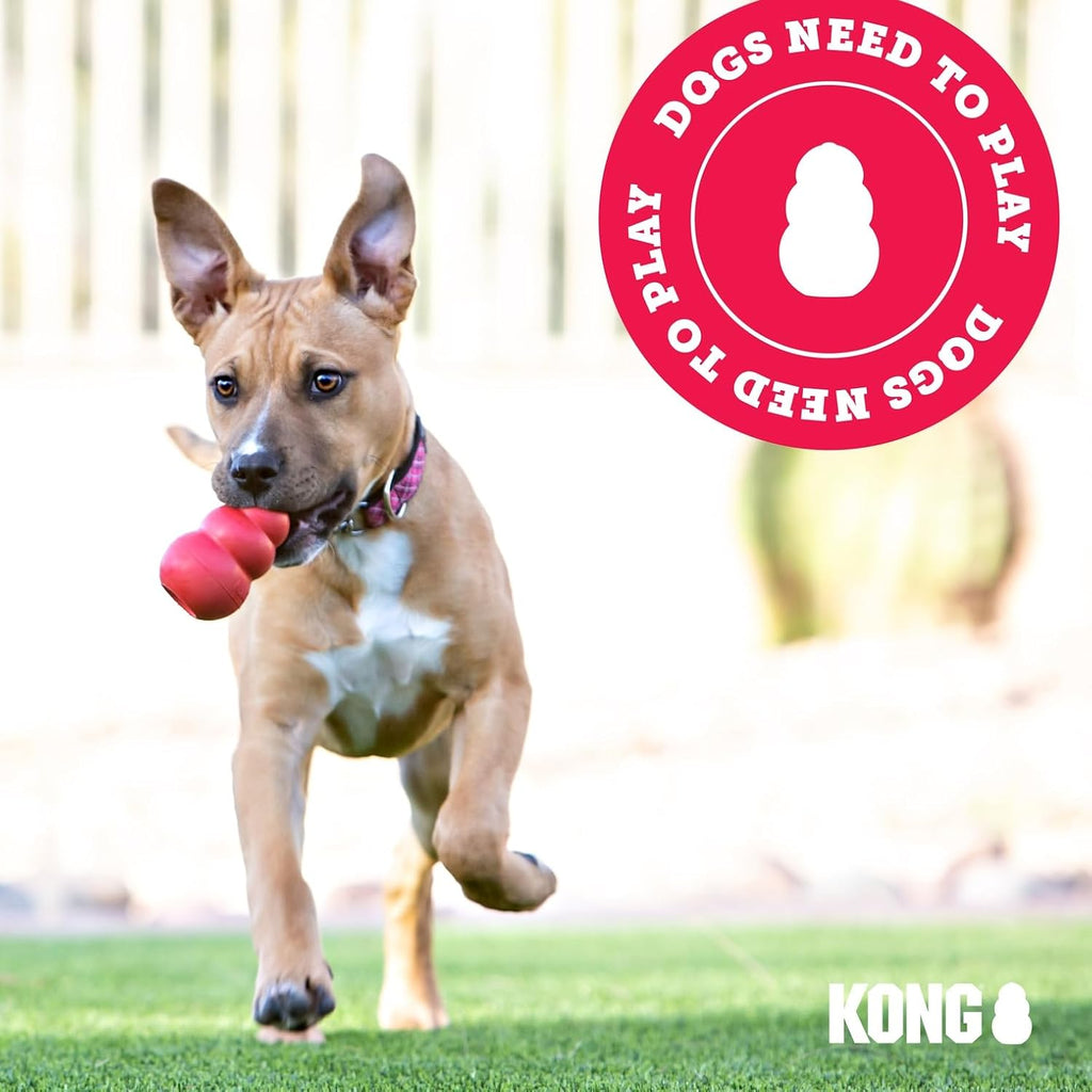 KONG Natural Rubber Stuffable Teething Chew Toy XS -Large Dogs Pink or Blue - Bellhaven & Co.
