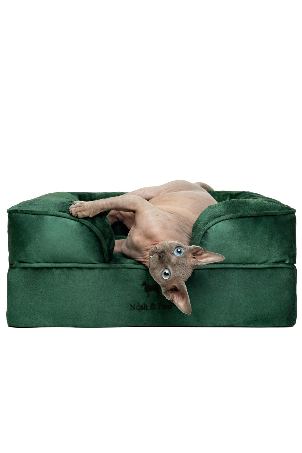 NOAH & PAW Orthopedic Dog Beds Memory Foam Infused with Cooling Gel S-XXL - Bellhaven & Co.