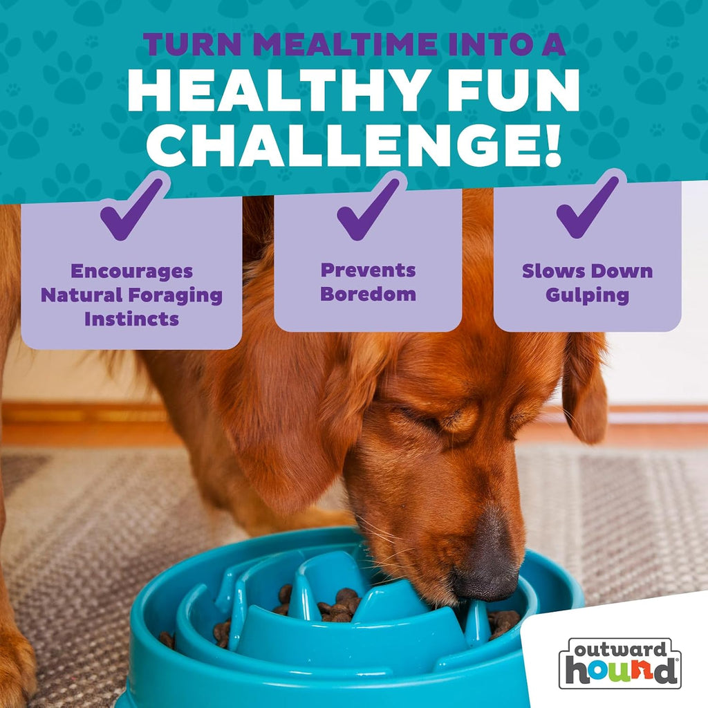 Outward Hound Fun Feeder Slow Feeding Bowl Non Slip for Dogs and Cats - Bellhaven & Co.