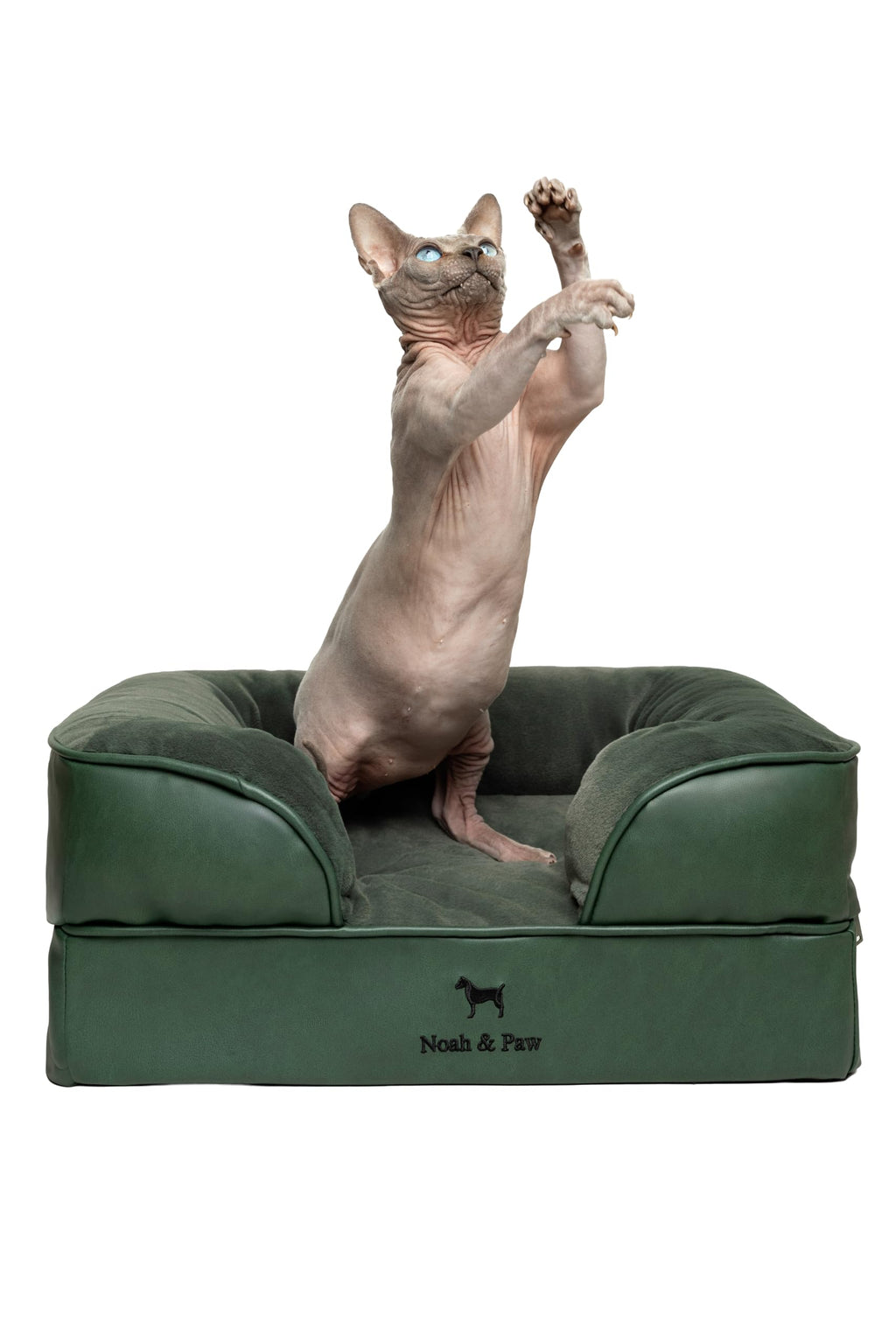 NOAH & PAW Orthopedic Dog Beds Memory Foam Infused with Cooling Gel S-XXL - Bellhaven & Co.