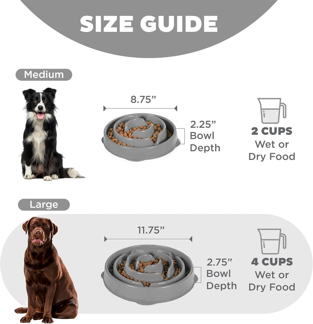 Outward Hound Fun Feeder Slow Feeding Bowl Non Slip for Dogs and Cats - Bellhaven & Co.