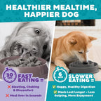 Outward Hound Fun Feeder Slow Feeding Bowl Non Slip for Dogs and Cats - Bellhaven & Co.
