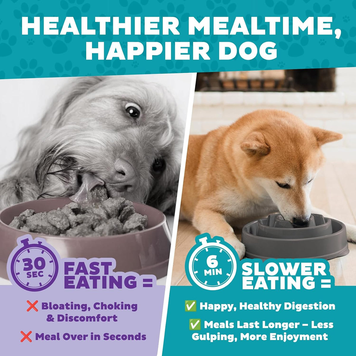 Outward Hound Fun Feeder Slow Feeding Bowl Non Slip for Dogs and Cats - Bellhaven & Co.