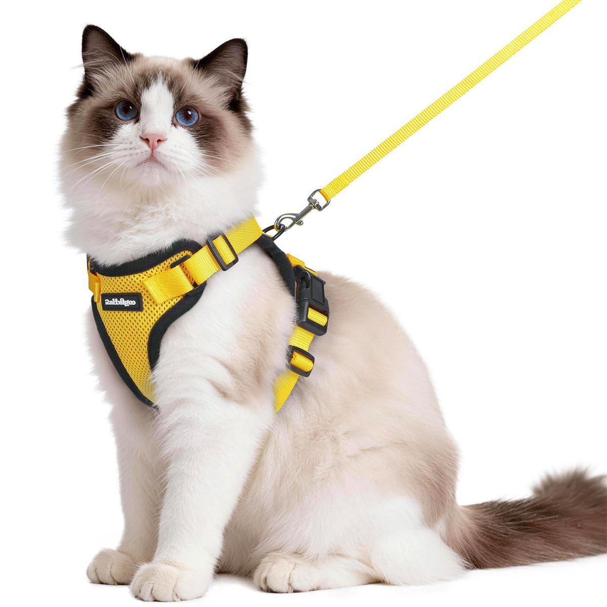 Rabbitgoo Cat Harness and Leash Set Escape Proof Vest Soft Breathable Mesh - Bellhaven & Co.
