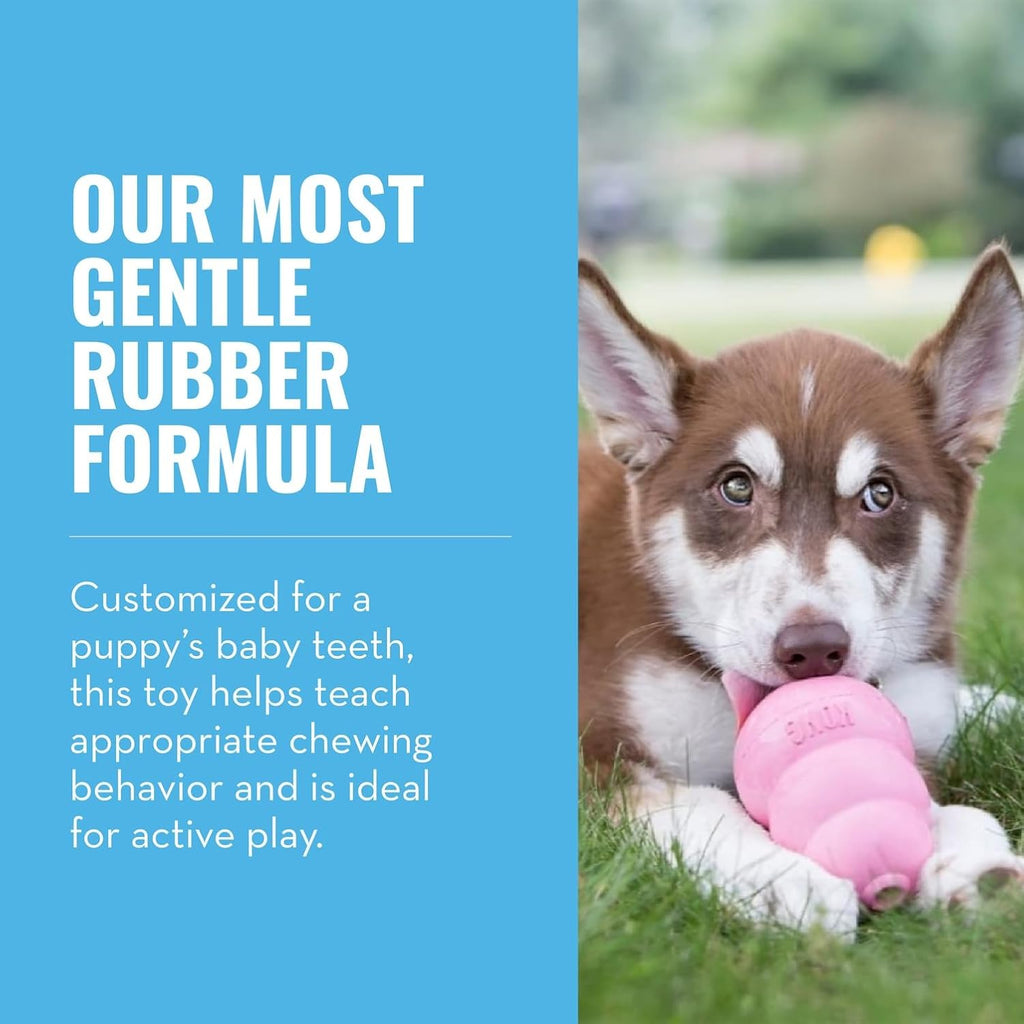 KONG Natural Rubber Stuffable Teething Chew Toy XS -Large Dogs Pink or Blue - Bellhaven & Co.