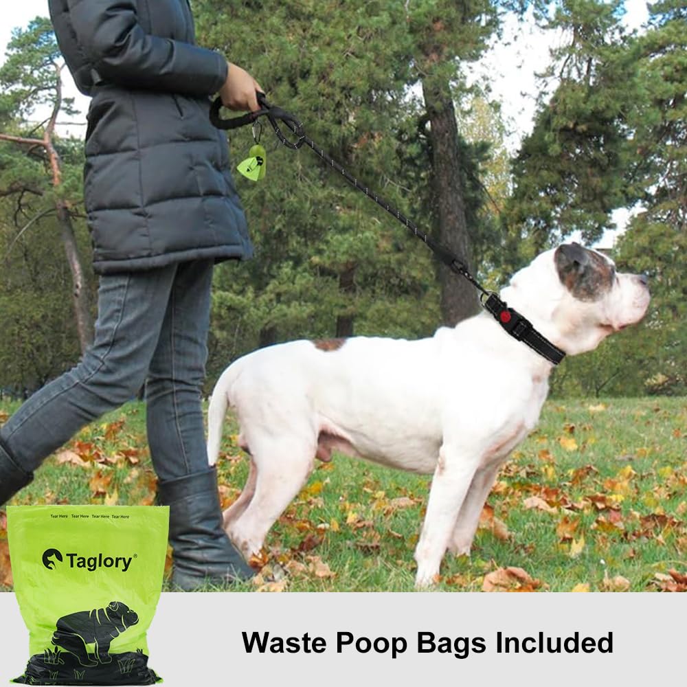 Taglory Reflective Rope Dog Leash for Medium Large Dogs 4,5 and 6 FT Padded Handle - Bellhaven & Co.