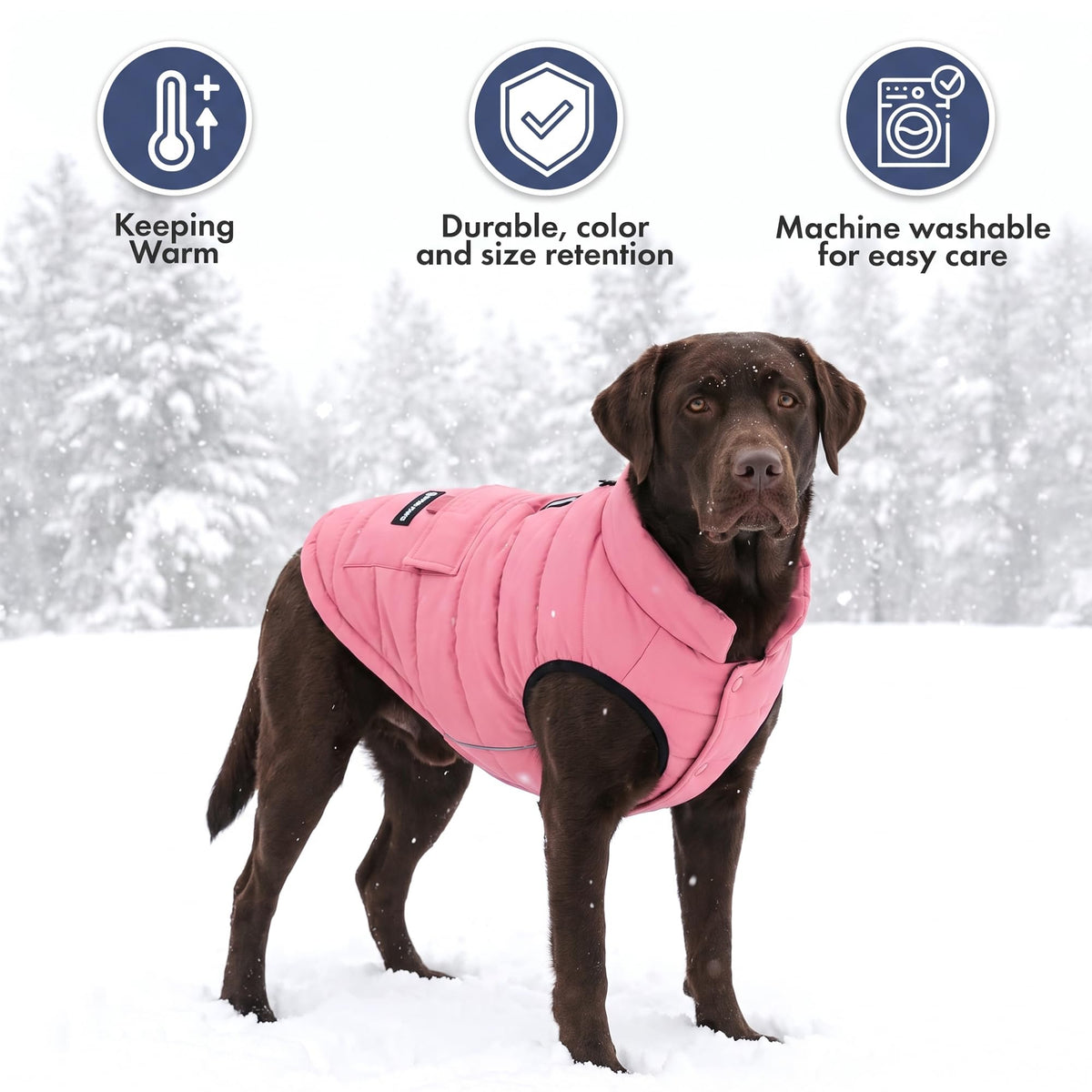 Spark Paws Dog Winter Coat Jacket - Warm Dog Clothes for Small Large Dogs