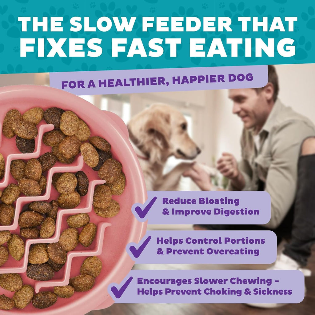 Outward Hound Fun Feeder Slow Feeding Bowl Non Slip for Dogs and Cats - Bellhaven & Co.