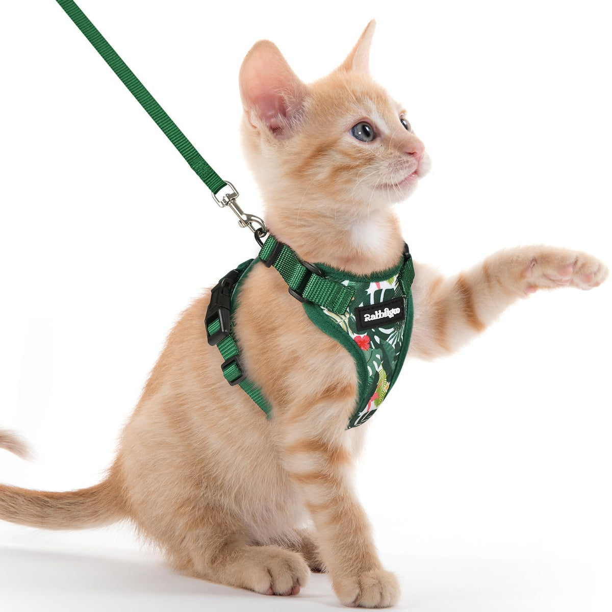 Rabbitgoo Cat Harness and Leash Set Escape Proof Vest Soft Breathable Mesh - Bellhaven & Co.