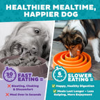 Outward Hound Fun Feeder Slow Feeding Bowl Non Slip for Dogs and Cats - Bellhaven & Co.