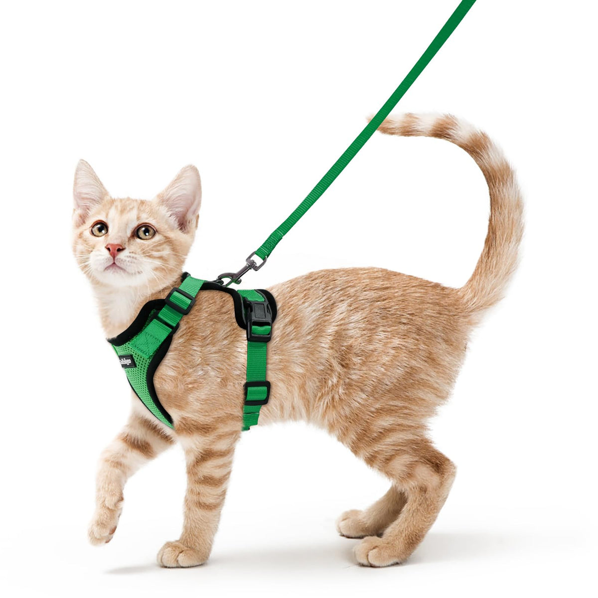 Rabbitgoo Cat Harness and Leash Set Escape Proof Vest Soft Breathable Mesh - Bellhaven & Co.