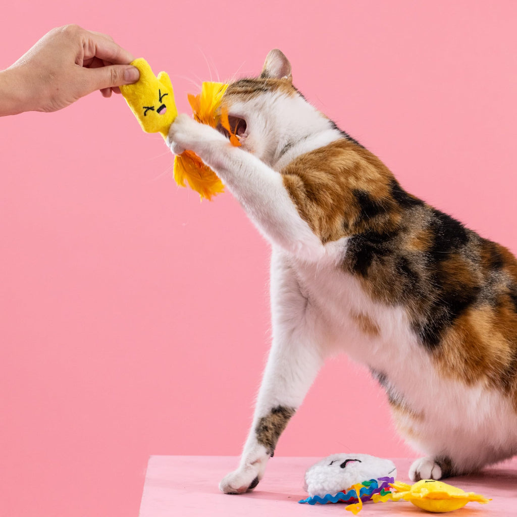 Fringe Studio Off THE Scales Durable Cotton Canvas Cat Toy 3PCS Set - Bellhaven & Co.
