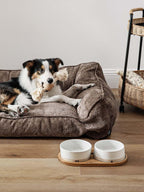 LE TAUCI Ceramic Dog and Cat Bowls Set with Acacia Wood Tray 2 Cup Weighted Non-Slip - Bellhaven & Co.