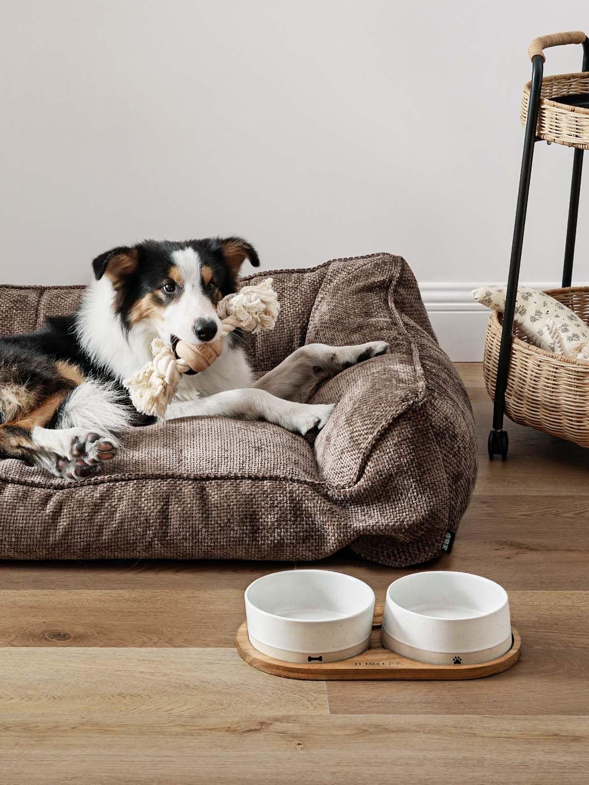 LE TAUCI Ceramic Dog and Cat Bowls Set with Acacia Wood Tray 2 Cup Weighted Non-Slip - Bellhaven & Co.