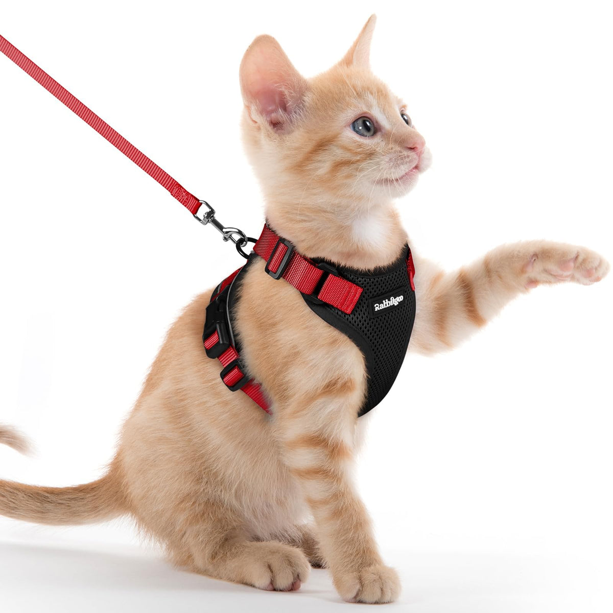 Rabbitgoo Cat Harness and Leash Set Escape Proof Vest Soft Breathable Mesh - Bellhaven & Co.