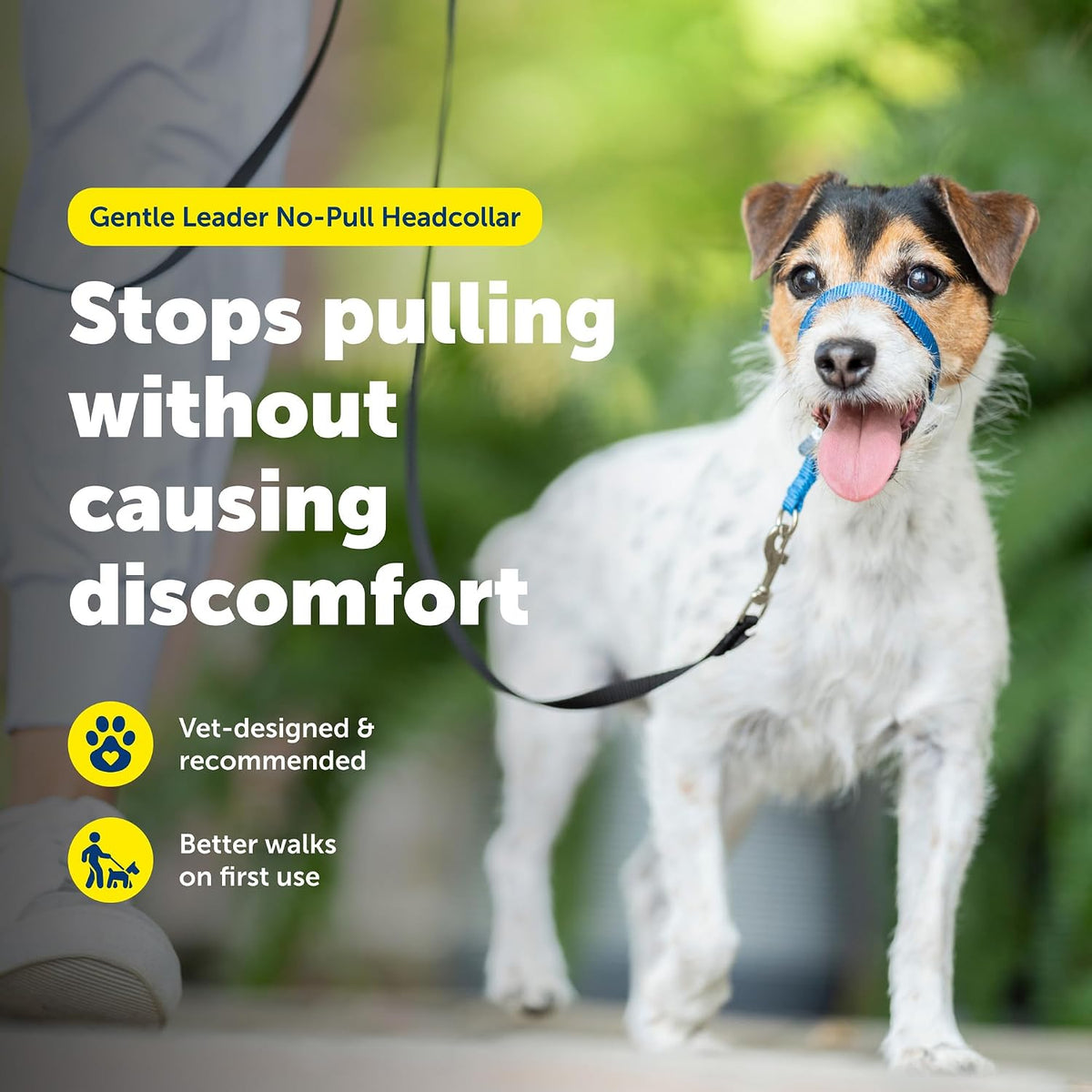 PetSafe Gentle Leader No Pull Dog Headcollar - Bellhaven & Co.