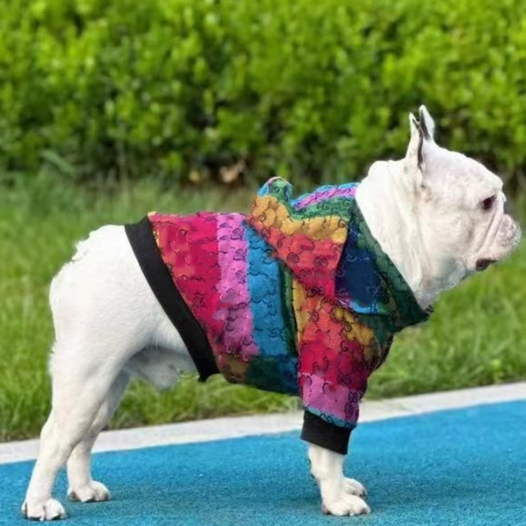 Luxury Winter Hooded Dog Jacket In Two Pattern Options Small-XXL
