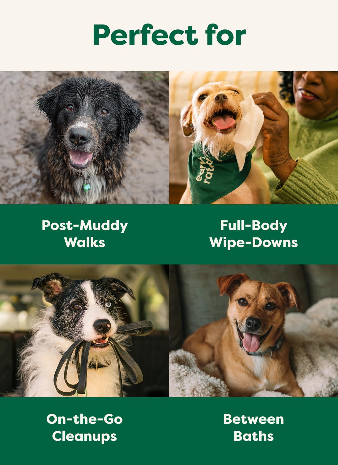 Earth Rated Dog Wipes for Paws & Butt Deodorizing Scented & Unscented, 100ct - Bellhaven & Co.