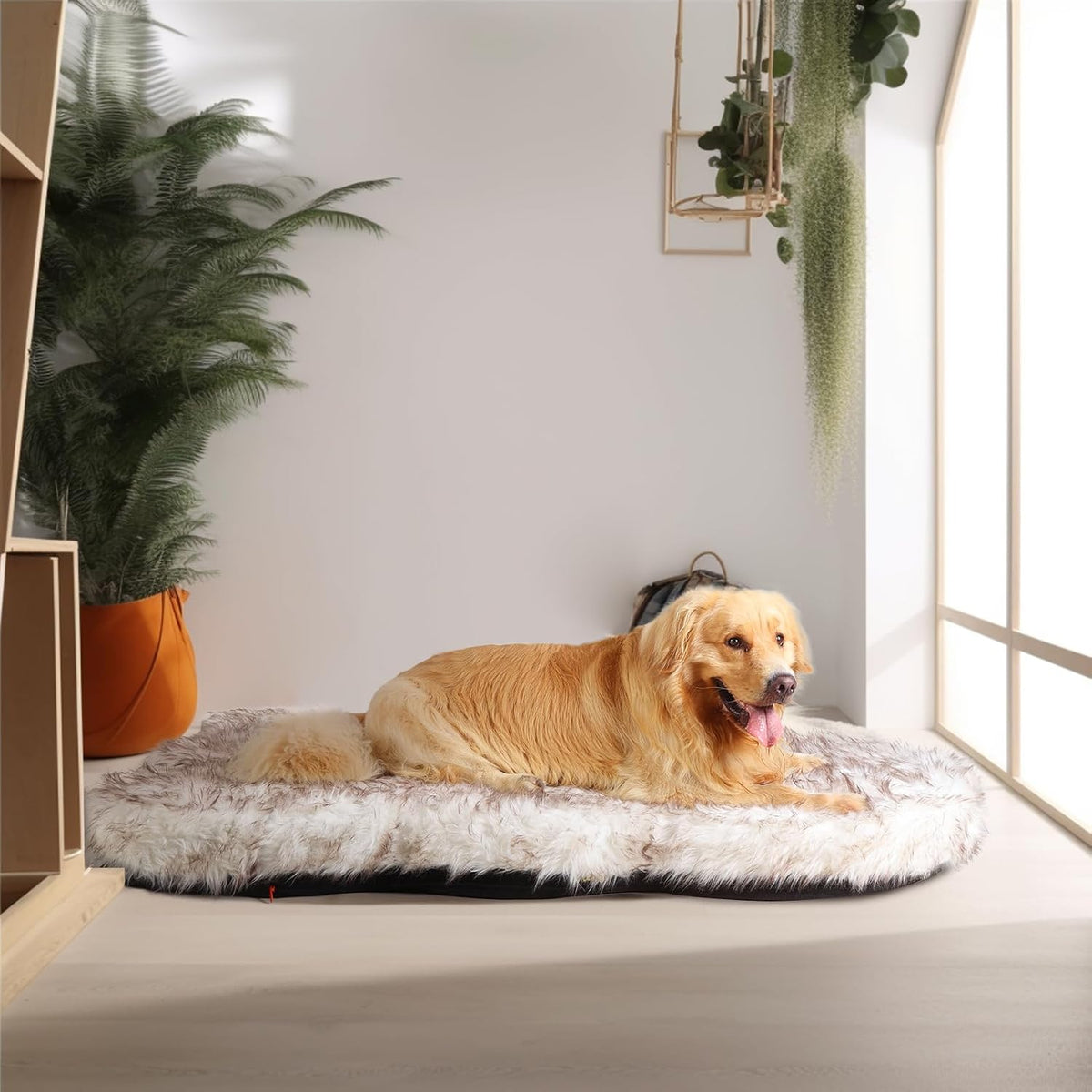 Luxury Faux Fur Dog Bed 6-inch Thick Grade Ultra Soft Orthopedic Memory Foam - Bellhaven & Co.