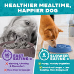 Outward Hound Fun Feeder Slow Feeding Bowl Non Slip for Dogs and Cats - Bellhaven & Co.