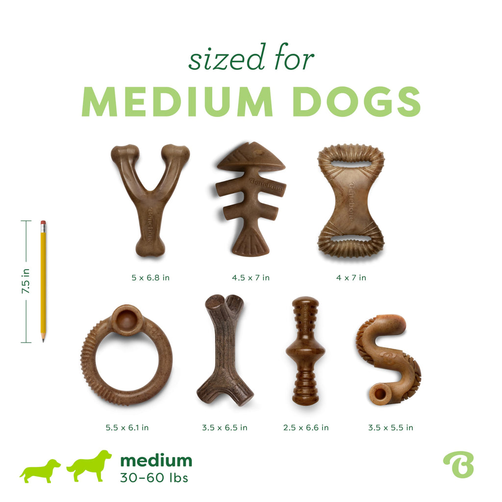 Benebone Medium 4-Pack Dog Toys for Aggressive Chewers - Bellhaven & Co.