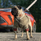 Luxury Winter Hooded Dog Jacket In Two Pattern Options Small-XXL