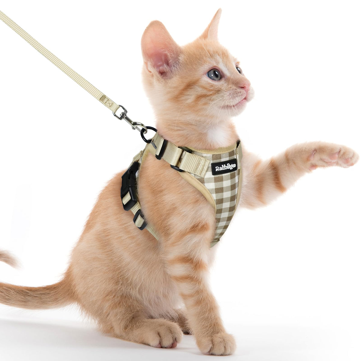 Rabbitgoo Cat Harness and Leash Set Escape Proof Vest Soft Breathable Mesh - Bellhaven & Co.