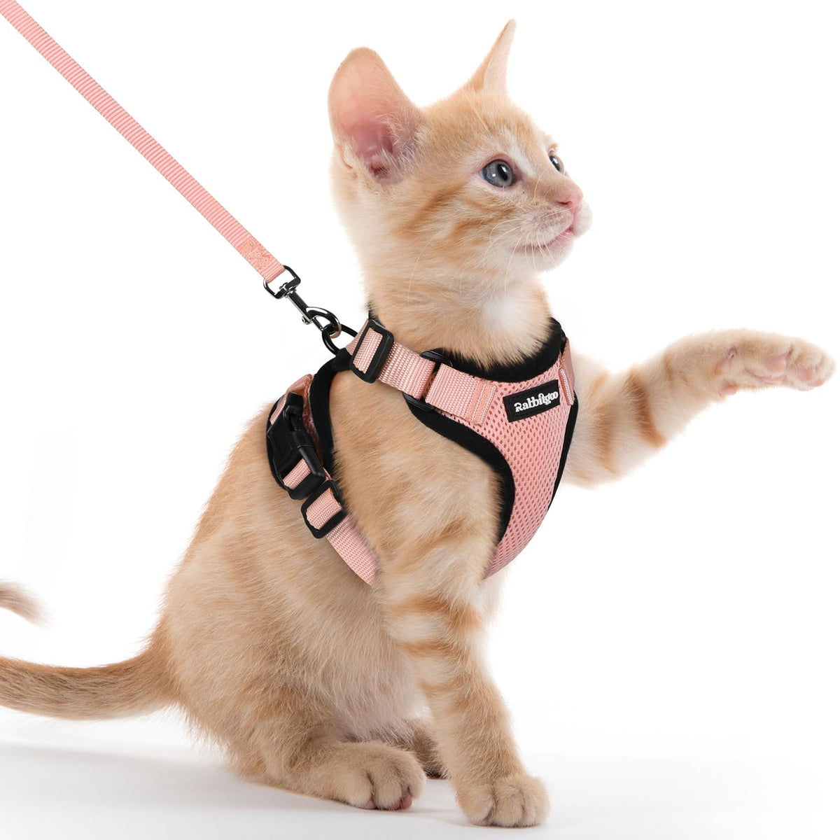 Rabbitgoo Cat Harness and Leash Set Escape Proof Vest Soft Breathable Mesh - Bellhaven & Co.