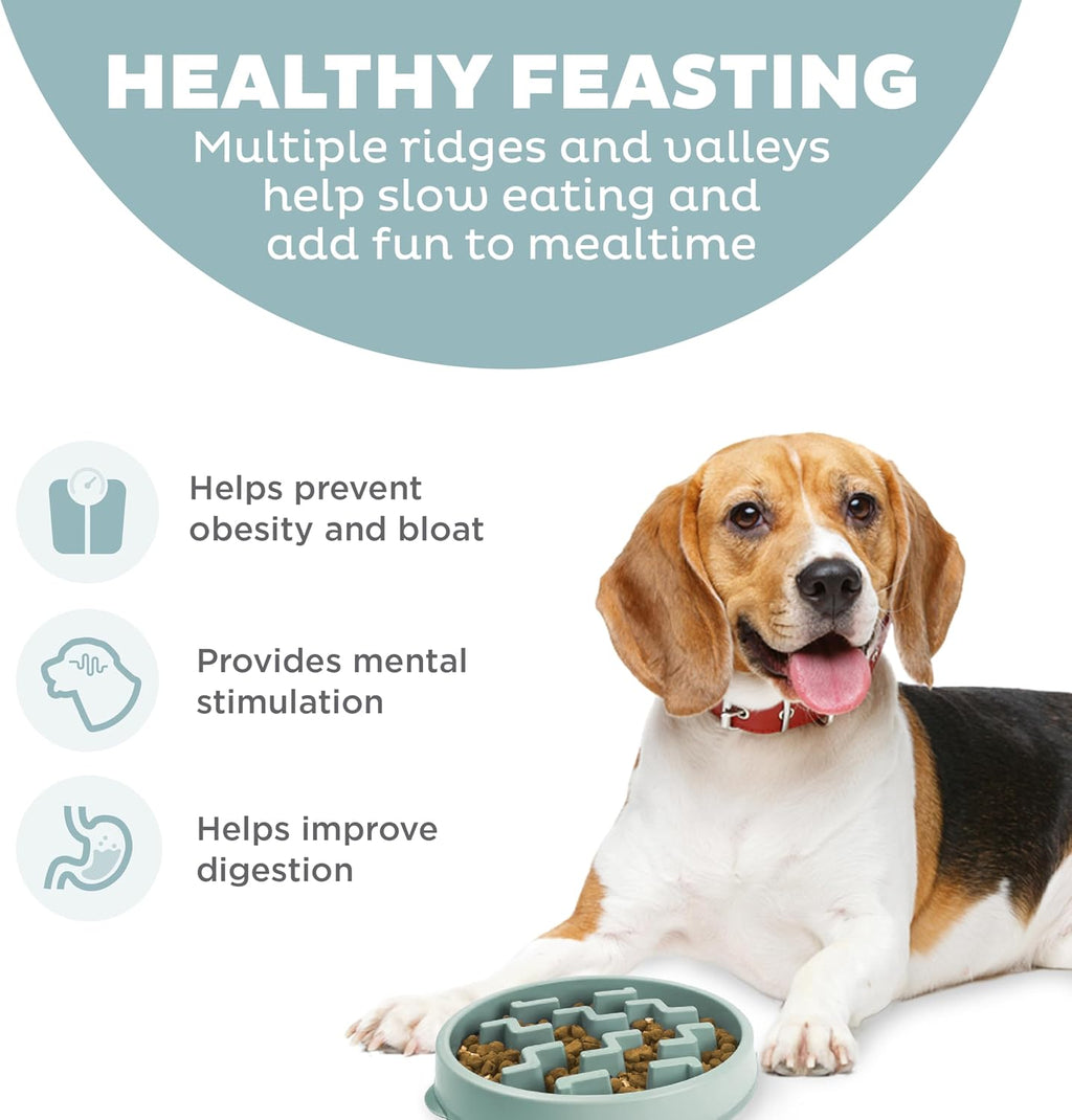 Outward Hound Fun Feeder Slow Feeding Bowl Non Slip for Dogs and Cats - Bellhaven & Co.