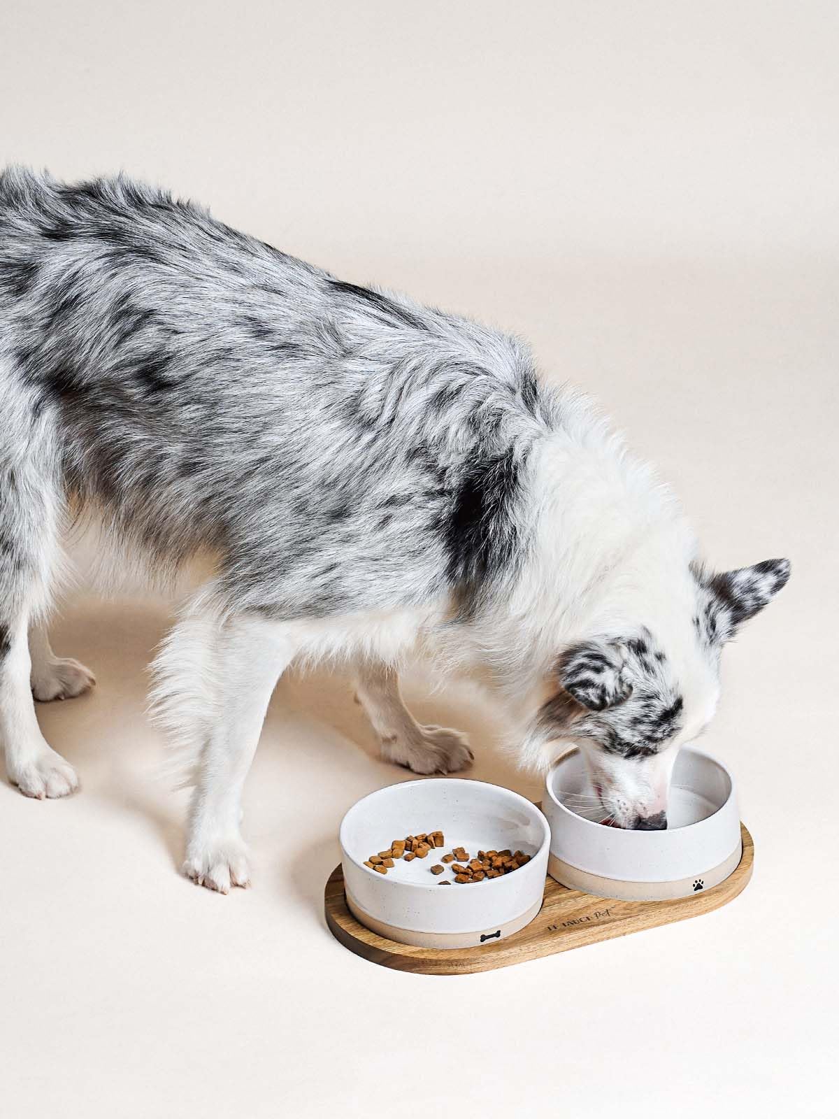LE TAUCI Ceramic Dog and Cat Bowls Set with Acacia Wood Tray 2 Cup Weighted Non-Slip - Bellhaven & Co.
