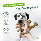 Benebone Medium 4-Pack Dog Toys for Aggressive Chewers - Bellhaven & Co.