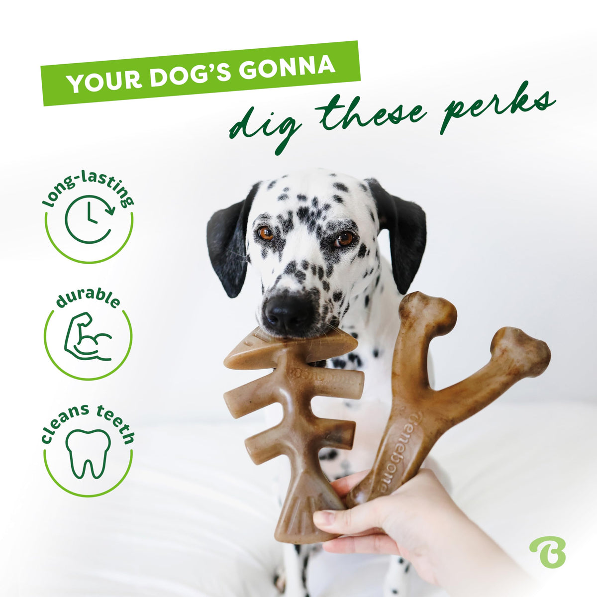 Benebone Medium 4-Pack Dog Toys for Aggressive Chewers - Bellhaven & Co.