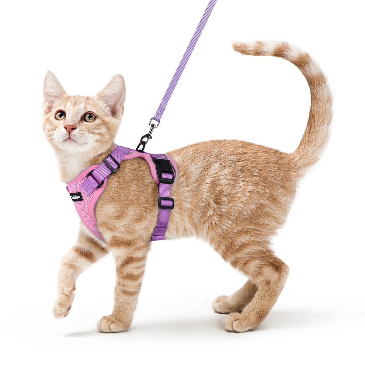 Rabbitgoo Cat Harness and Leash Set Escape Proof Vest Soft Breathable Mesh - Bellhaven & Co.