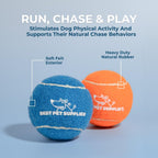 Best Pet Supplies Interactive Squeaky Dog Toy and Crinkle Dog Toys - Multiple Choices - Bellhaven & Co.