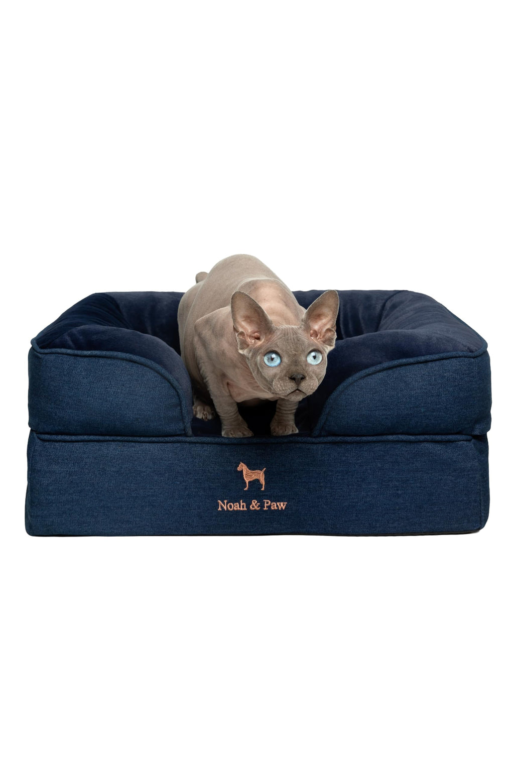 NOAH & PAW Orthopedic Dog Beds Memory Foam Infused with Cooling Gel S-XXL - Bellhaven & Co.