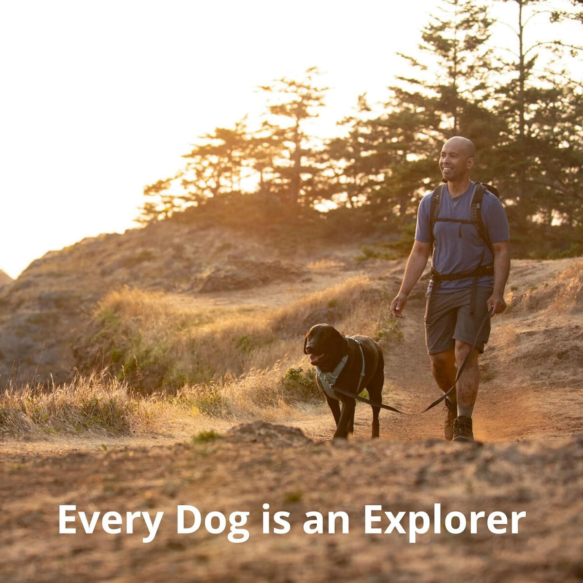 Ruffwear Front Range Dog Chest Harness Multiple Colors S-XL