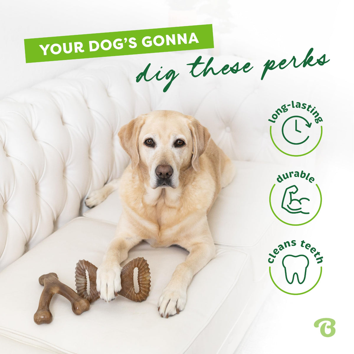 Benebone Medium 4-Pack Dog Toys for Aggressive Chewers - Bellhaven & Co.