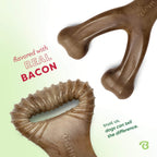 Benebone Medium 4-Pack Dog Toys for Aggressive Chewers - Bellhaven & Co.